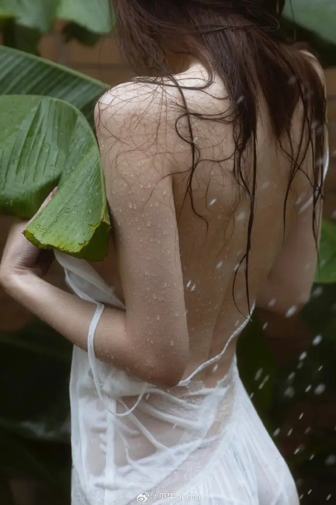 微信助手数据分析图表